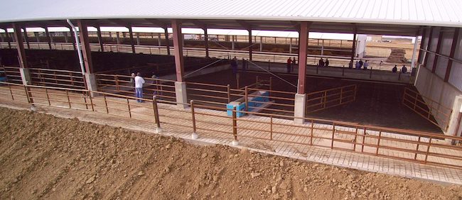 Settje Agri-Services completed the Foltz cattle barn design in 2017, serving as a turnkey provider for permitting, engineering, construction, and compliance needs of the client