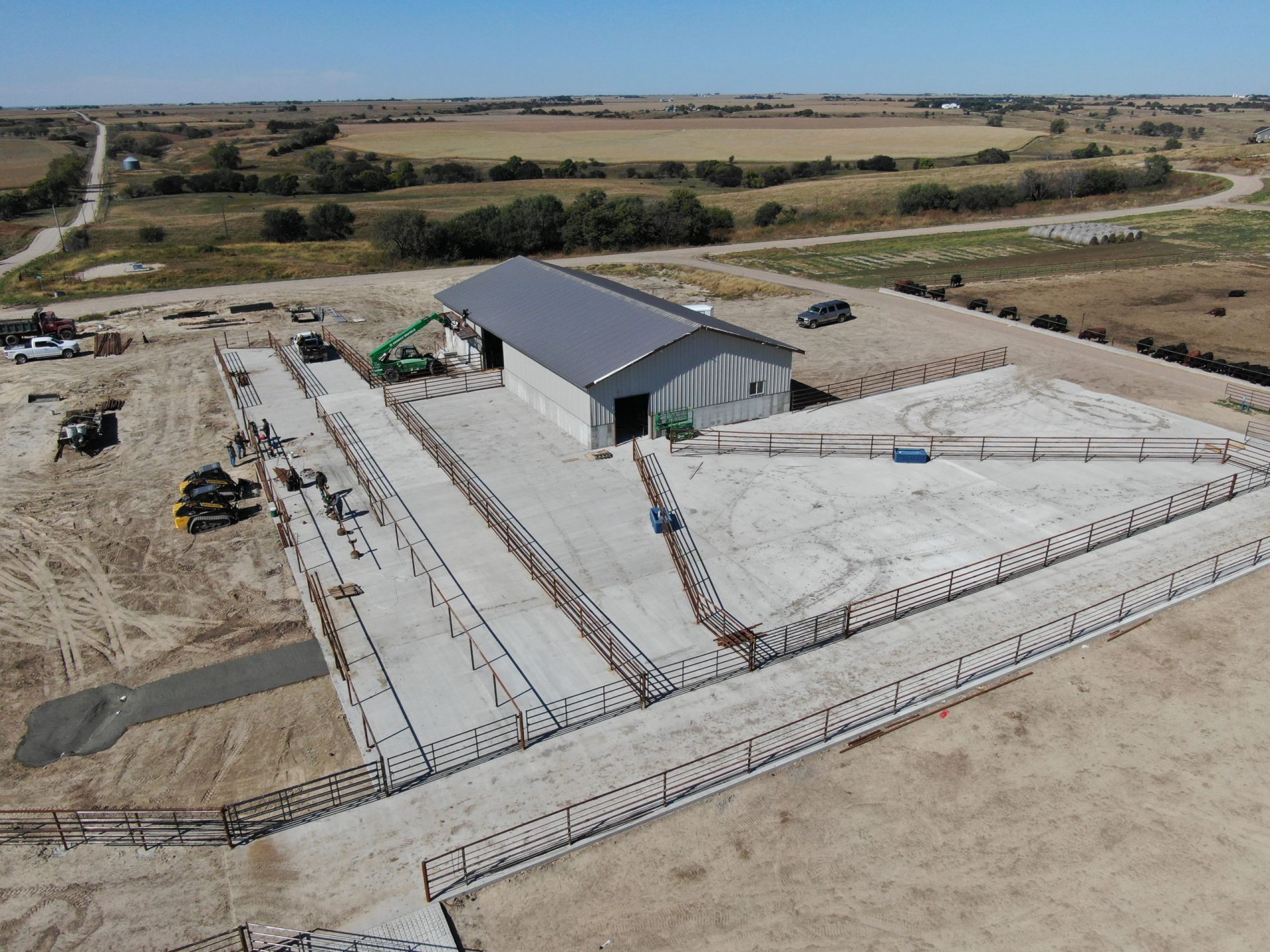 Cattle Processing and Working Facility Settje AgriServices and