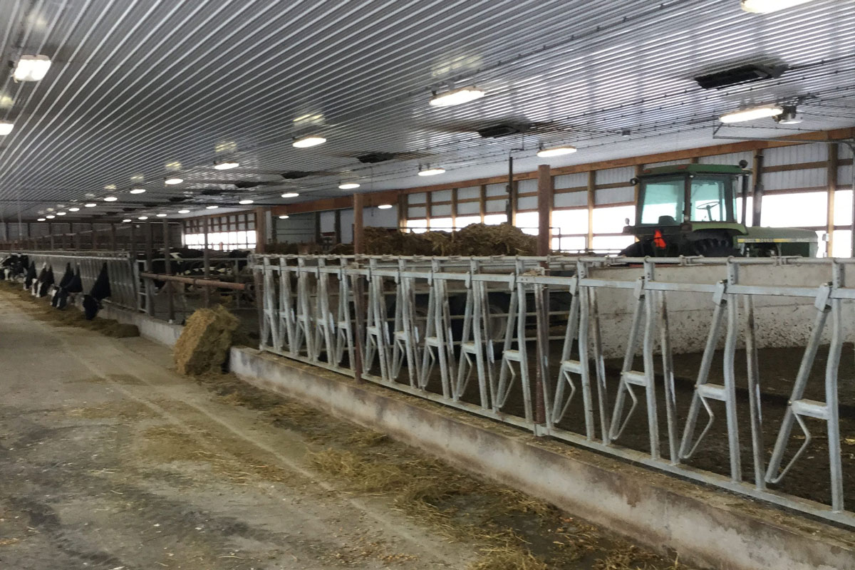 Robotic Dairy Barns - Settje Agri-Services And Engineering