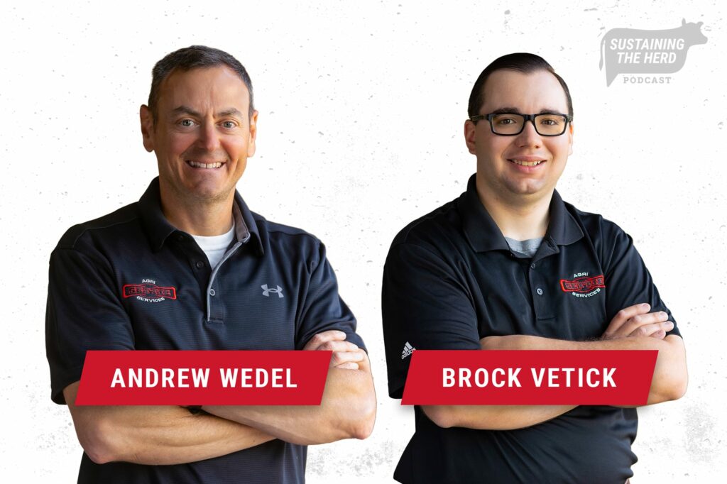 Meet the hosts: Andrew Wedel and Brock Vetick